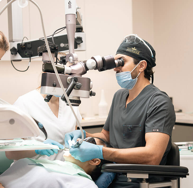 Mitachi Dental Health